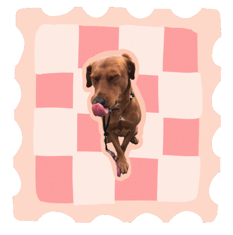 Dog Stamp Sticker