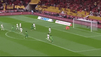 Africa Cup Morocco GIF