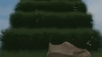 GIF by Daddy Magazine