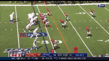 Buffalo Bills GIF