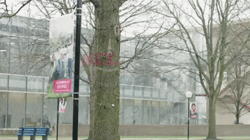 Foundation Kcc GIF by Kankakee Community College
