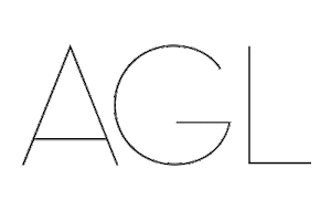 Shoes Aglshoes Sticker by AGL