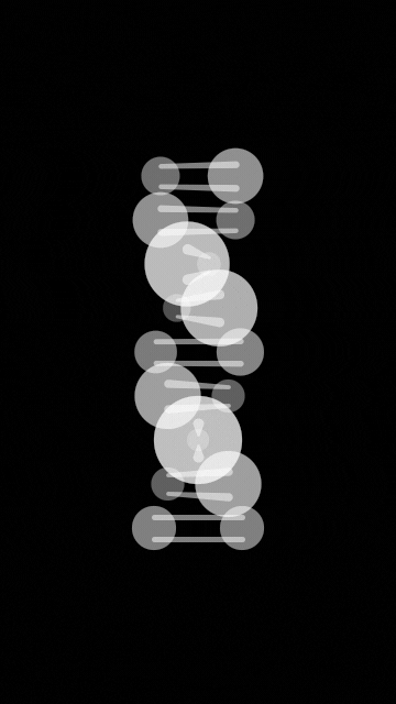 Loop GIF