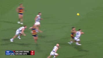 round 3 afl GIF by Adelaide Crows