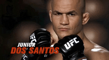 Junior Dos Santos Sport GIF by UFC