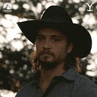 Luke Grimes Frown GIF by Yellowstone