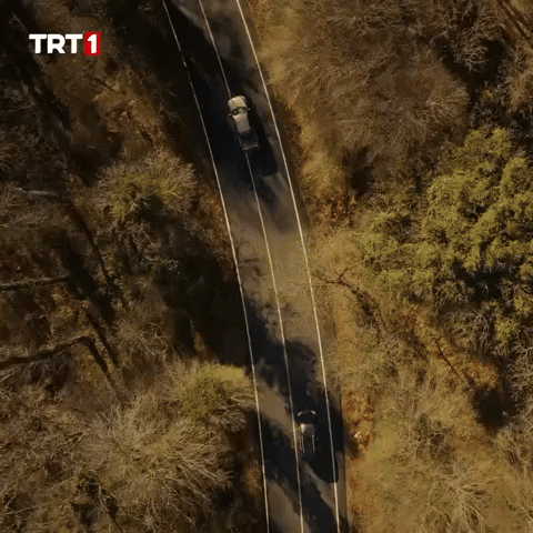 Travel Driving GIF by TRT