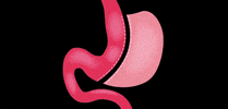 Op. Dr. Ozgun Akgul GIF