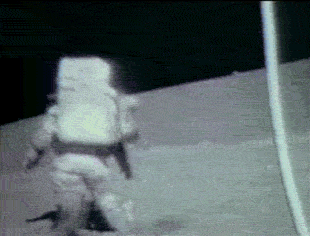 giphy.gif?cid=4d1e4f290ebb40ef4f04a5f3f9de067f64fb4ae4ba165c60&rid=giphy.gif