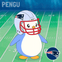 New England Patriots Football GIF by Pudgy Penguins