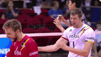 Lets Go Yes GIF by Volleyball World