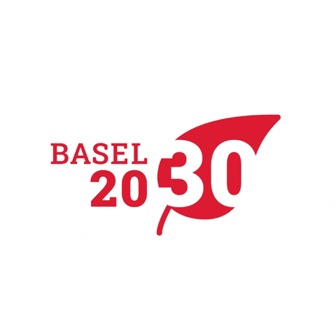 Basel2030 GIF