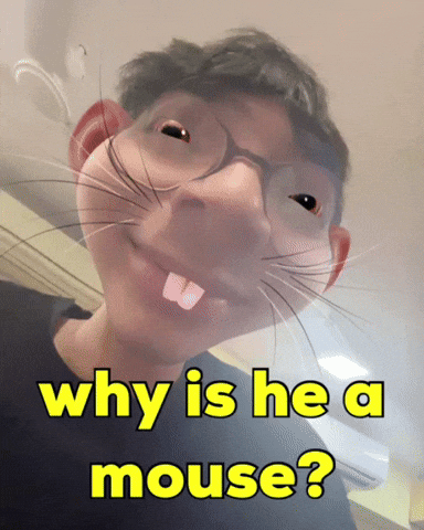 Why Is He A Mouse GIF