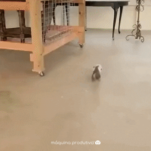 Maquina Produtiva GIF