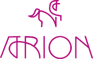 Arion Sticker