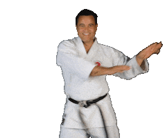 Isshoni Karate Sticker