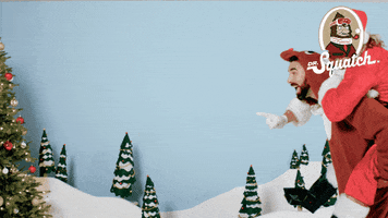 Merry Christmas GIF by DrSquatch