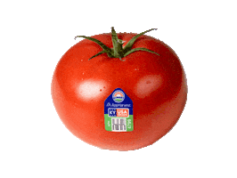 Fruit Tomato Sticker by AppHarvest