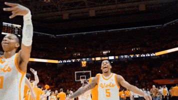 Basketball College GIF by Tennessee Athletics