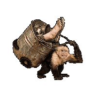 Monkey Foot Sticker by lilianstolk