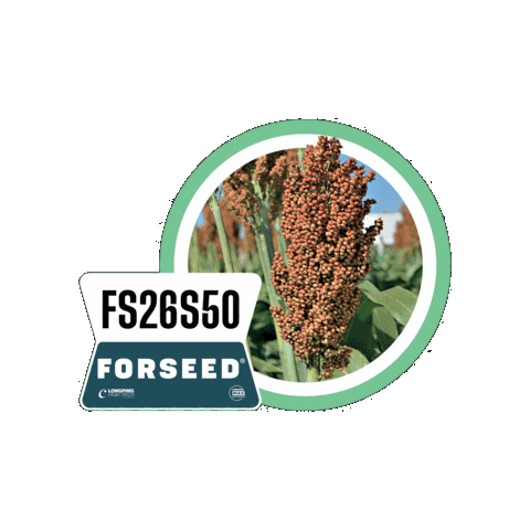 Forseedsementes Sticker by Longping High Tech