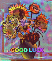 Best Wishes Good Luck GIF by PEEKASSO