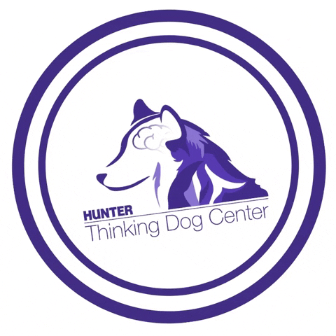 Thinking Dog Center at Hunter College GIF