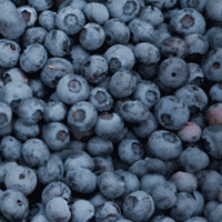 fruit blueberries GIF