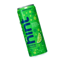 Sparkling Water Lime Sticker by Hint