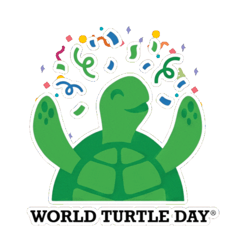 Turtles Tortoise Sticker by World Turtle Day