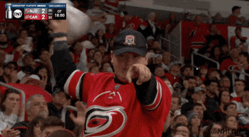 Stanley Cup Playoffs Win GIF by NHL