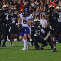 Horned Frogs Chandler GIF by TCU Football