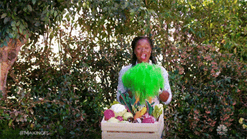 Amy Poehler Vegetables GIF by NBC