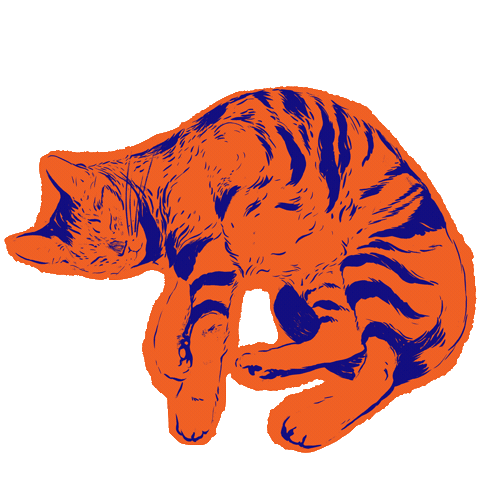 Sleepy Cats Sticker