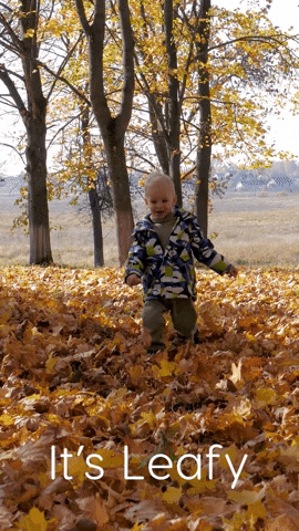 Cold Weather Fall GIF by Sealed With A GIF