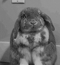 black and white no GIF