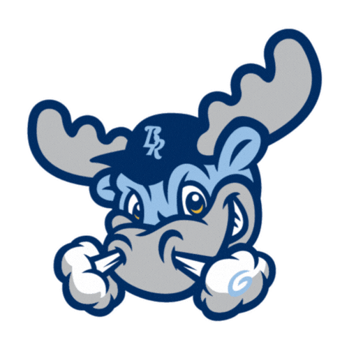 Wilmington Blue Rocks Sticker