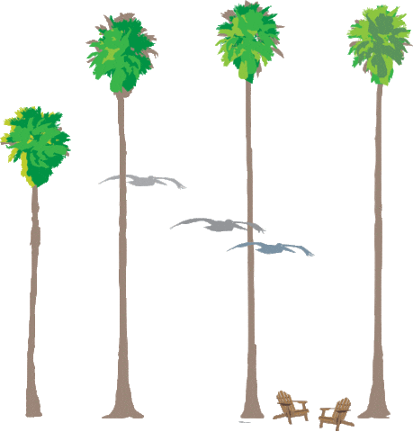 Palm Trees Pelican Sticker by Eckerd College