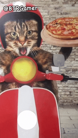 Pizza Cat GIF