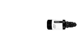 Polarwise Sticker