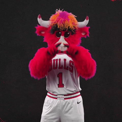 Love You Sport GIF by Chicago Bulls