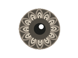 Iris Foto Schweiz Sticker