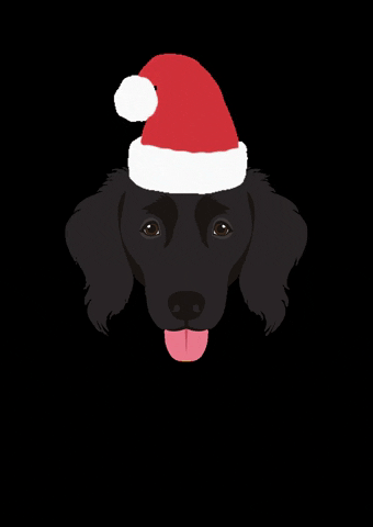 Angel Dog With Hat GIF by Melina Bucher