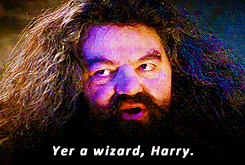 harry potter and the philosophers stone GIF