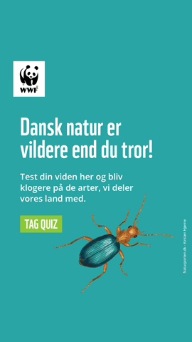 GIF by WWF Verdensnaturfonden / WWF-Denmark