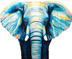 Art Sticker