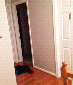 Door Fail Gif By Cheezburger