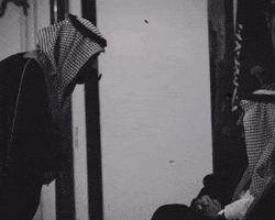 Saudi Arabia King GIF