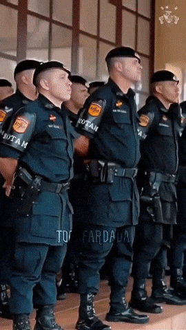 Distrito Federal Force GIF