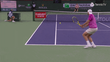 Excited Sport GIF by Tennis TV